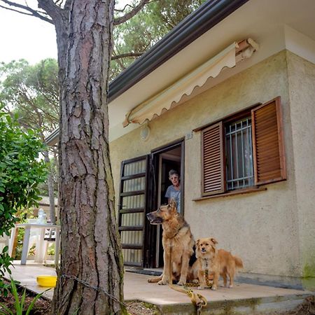 Arco Bungalow Eraclea Mare Exterior photo
